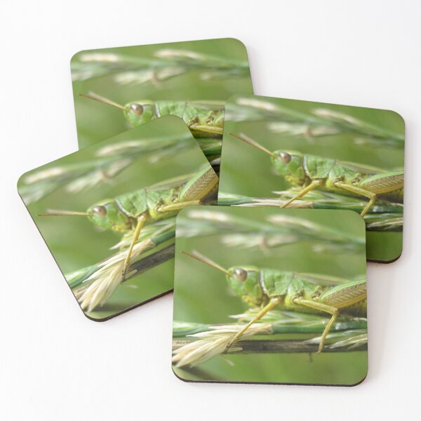 Item preview, Photo macro shot grasshopper designed and sold by PM-Artistic.