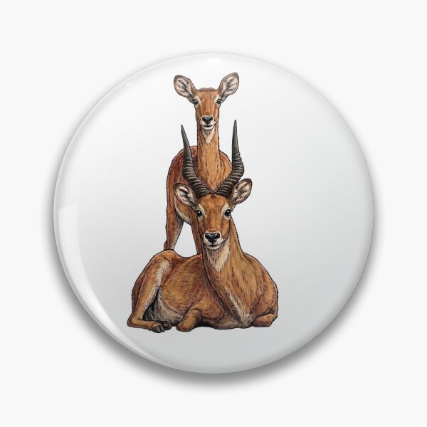 Item preview, Antelope Pair designed and sold by orioleoutdoor.