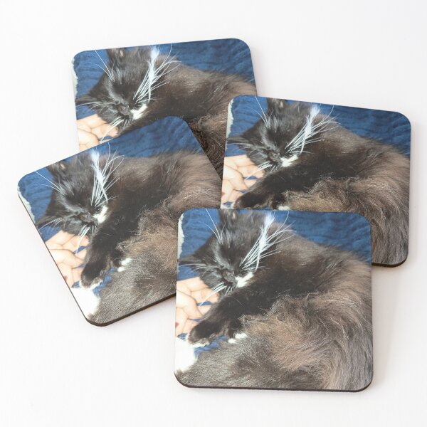 Item preview, Sleeping Fluffy Black Cat Aesthetic designed and sold by PhuongVoArt.