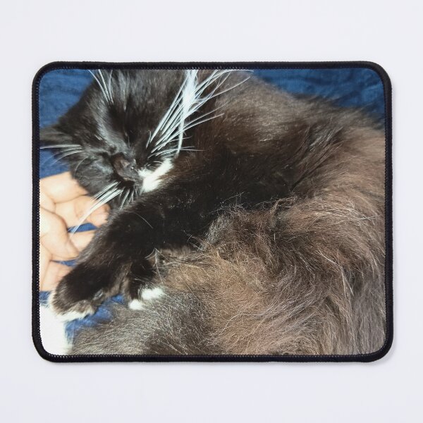 Item preview, Sleeping Fluffy Black Cat Aesthetic designed and sold by PhuongVoArt.