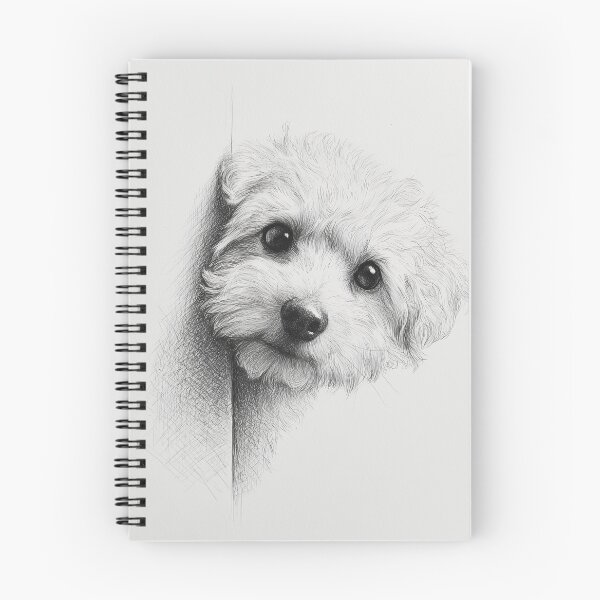 Item preview, Curious Bichon Frise Dog Peeking designed and sold by lautir.