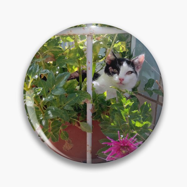 Item preview, A cat in a flowerpot designed and sold by Gourmetkater.