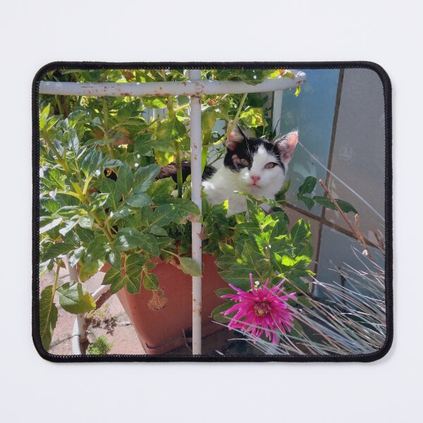 Item preview, A cat in a flowerpot designed and sold by Gourmetkater.