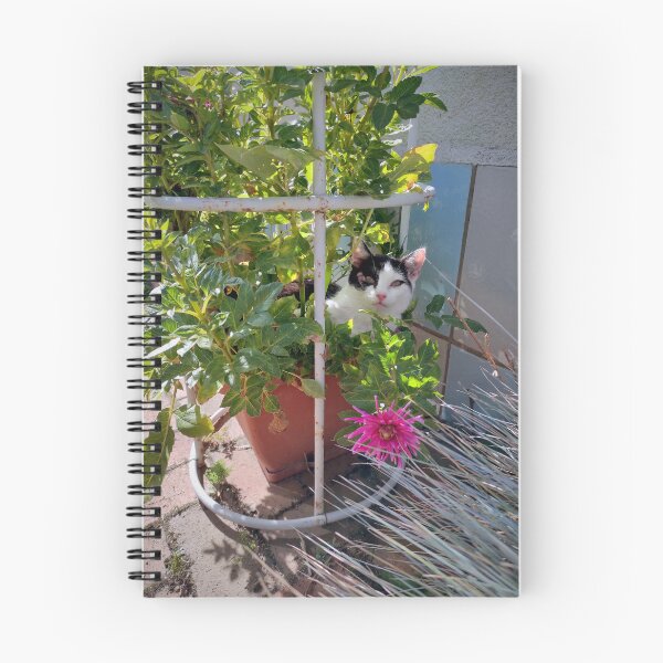 Artikelvorschau, Ein Kater im Blumentopf entworfen und verkauft von Gourmetkater.