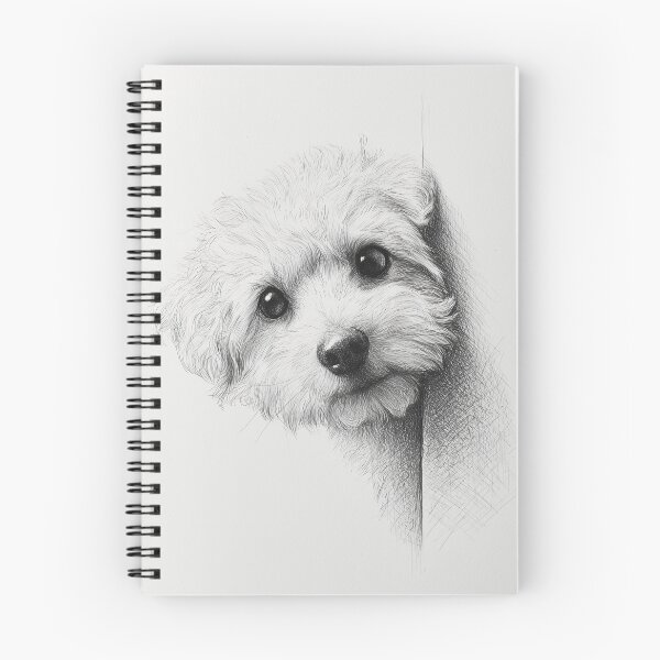 Item preview, Curious Peeking Bichon Frise Dog designed and sold by lautir.