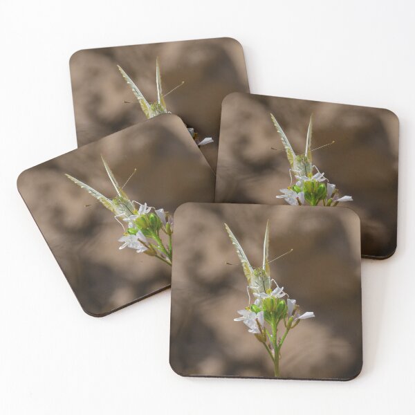 Item preview, Female Orange Tip Butterfly on a Flower designed and sold by Ralph Goldsmith.