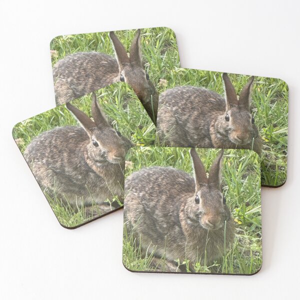 Item preview, Bunny designed and sold by Junipurr’s Corner .