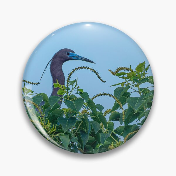 Item preview, Little Blue Heron Atop a Tree designed and sold by Pondside-Pics.