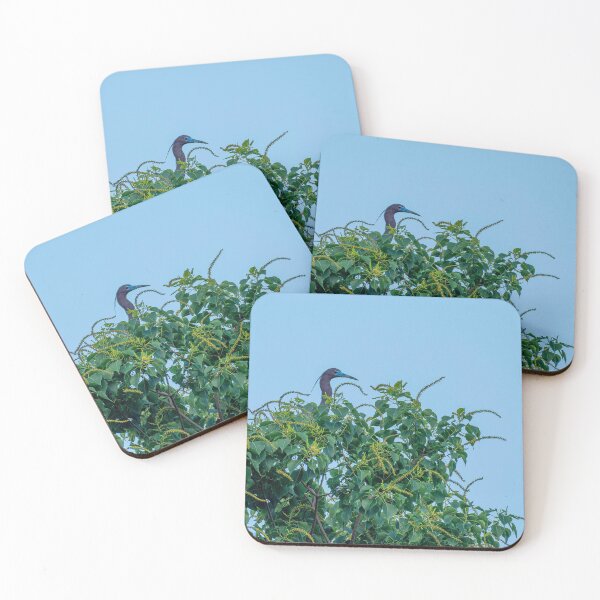 Item preview, Little Blue Heron Atop a Tree designed and sold by Pondside-Pics.