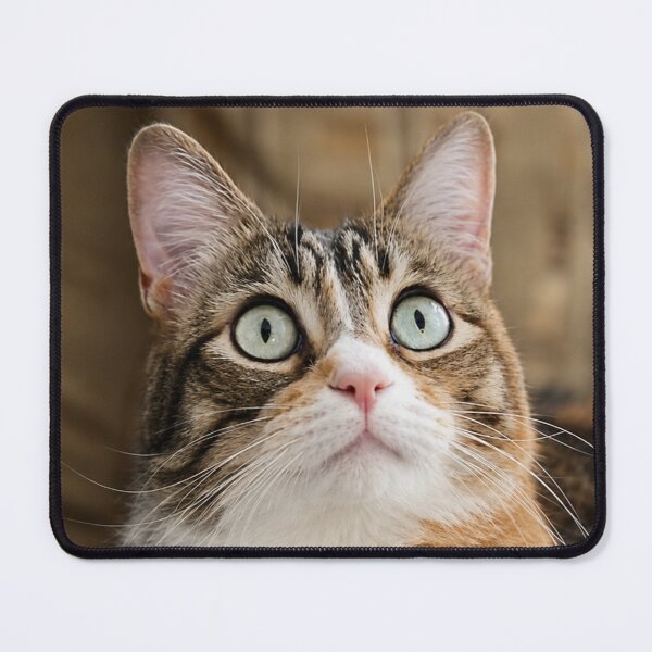 Item preview, Kitty designed and sold by Kimberly Palmer.