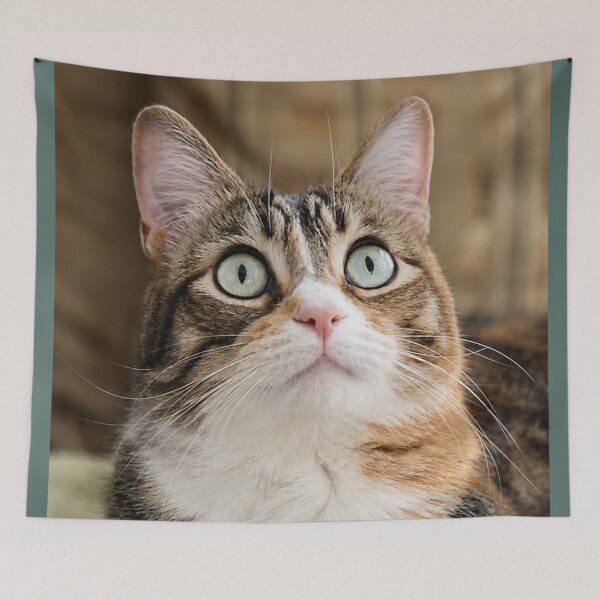Item preview, Kitty designed and sold by Kimberly Palmer.