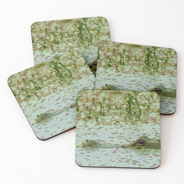 Item preview, Algae-Covered Juvenile American Alligator designed and sold by Pondside-Pics.