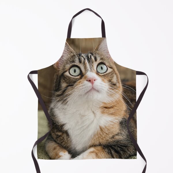 Item preview, Kitty designed and sold by Kimberly Palmer.