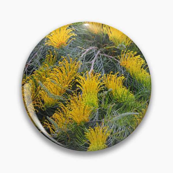 Item preview, Grevillea designed and sold by Anthony's  images.