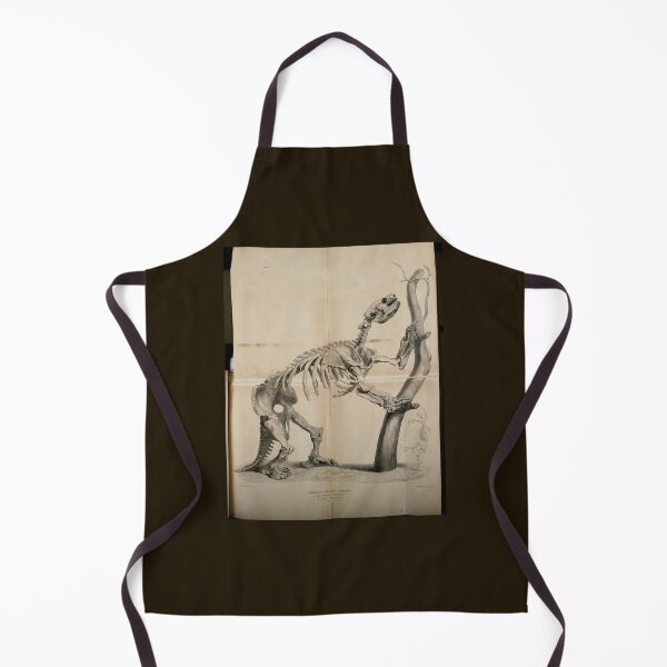 Item preview, Extinct Giant Sloth Skeleton by Richard Owen designed and sold by Amanda1775.