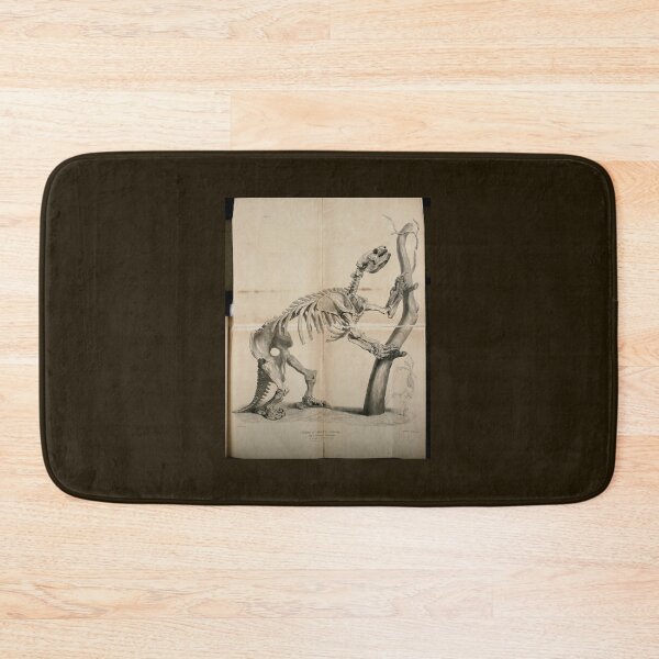 Item preview, Extinct Giant Sloth Skeleton by Richard Owen  designed and sold by Amanda1775.