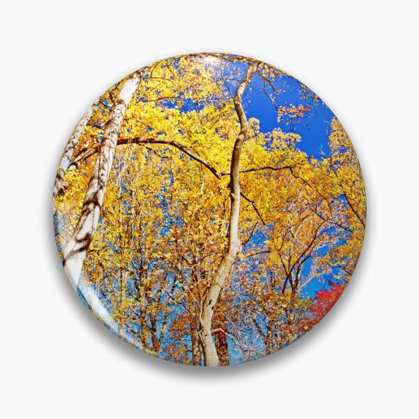 Item preview, Deciduous Forest Canopy, Autumn, Southeastern Pennsylvania designed and sold by AMacGPhilly.