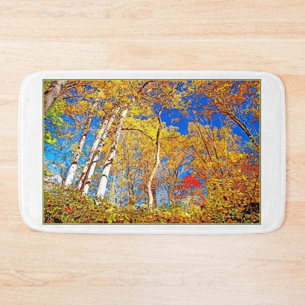 Item preview, Deciduous Forest Canopy, Autumn, Southeastern Pennsylvania designed and sold by AMacGPhilly.