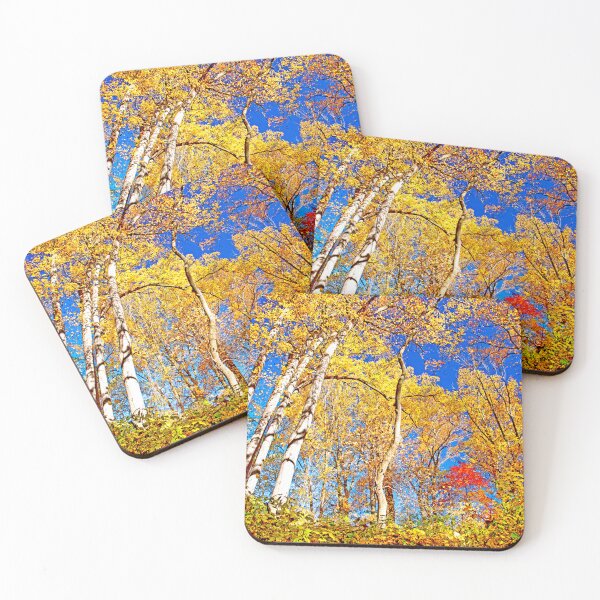 Item preview, Deciduous Forest Canopy, Autumn, Southeastern Pennsylvania designed and sold by AMacGPhilly.