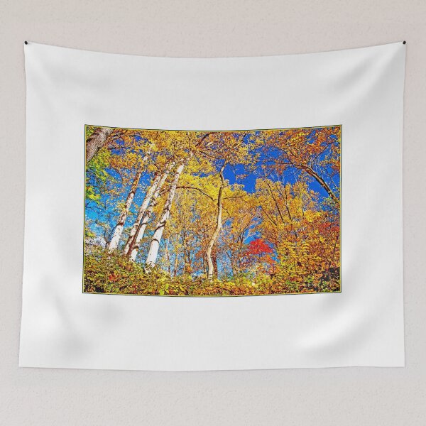 Item preview, Deciduous Forest Canopy, Autumn, Southeastern Pennsylvania designed and sold by AMacGPhilly.