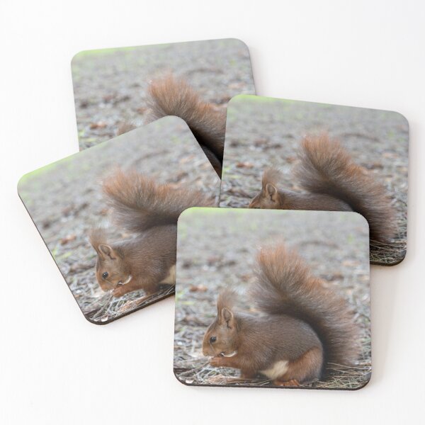 Item preview, A squirrel is sitting on the ground, eating something. designed and sold by elopezstock.