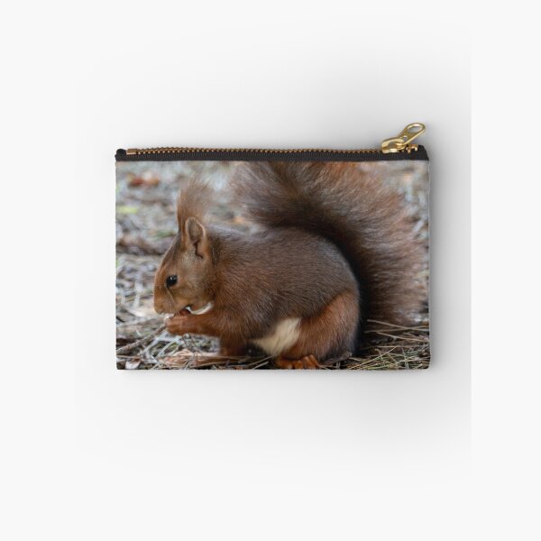 Item preview, A squirrel is sitting on the ground, eating something. designed and sold by elopezstock.