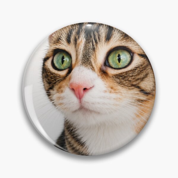 Item preview, Emerald Eyes designed and sold by Kimberly Palmer.