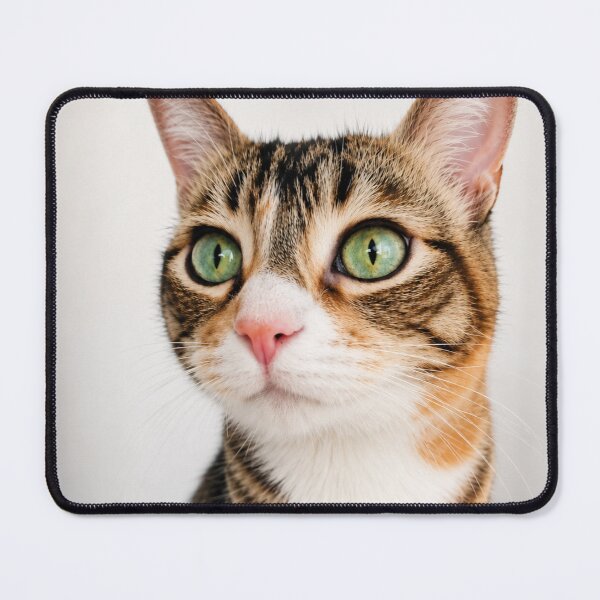 Item preview, Emerald Eyes designed and sold by Kimberly Palmer.
