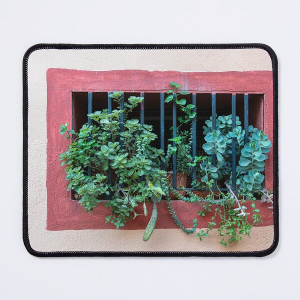 Item preview, A window with a plant inside. designed and sold by elopezstock.