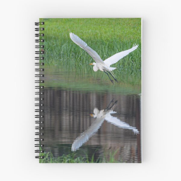 Item preview, Great Egret Flying Over a Canal designed and sold by Pondside-Pics.