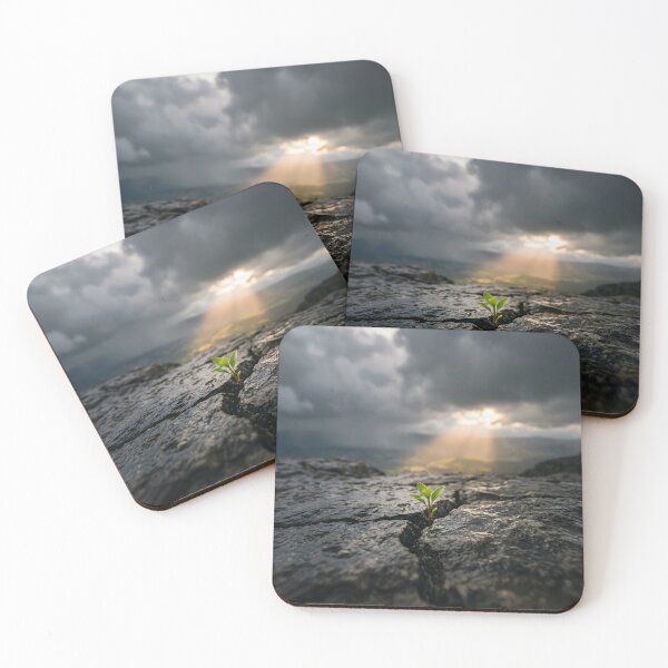 Item preview, Resilience Hope Plant Growing Through Cracked Rock Motivation designed and sold by novadawy.