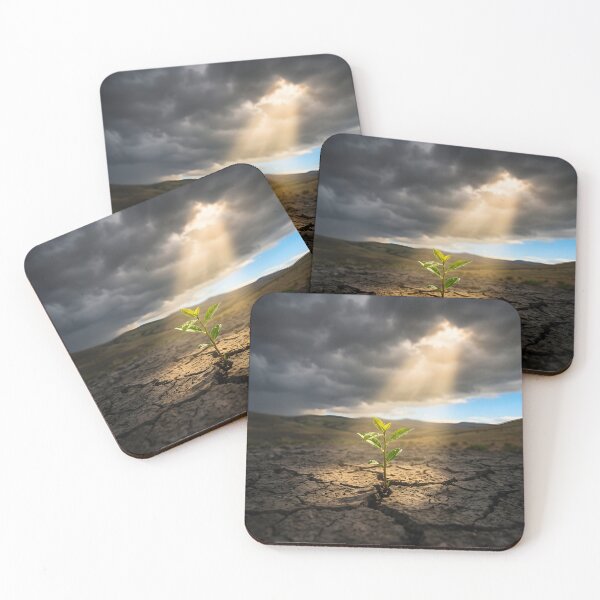 Item preview, Hope and Resilience Sprout in Cracked Earth Sunbeam designed and sold by novadawy.