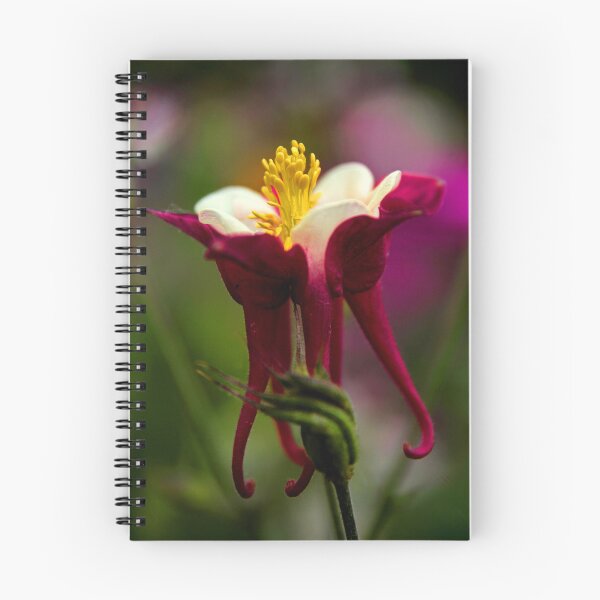 Item preview, Elegant Garnet Glory Columbine designed and sold by Jessica Jenney.