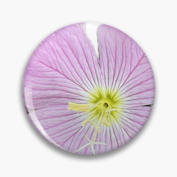 Item preview, Delicate Pink Evening Primrose Isolated on White Background designed and sold by BalkanBloom.