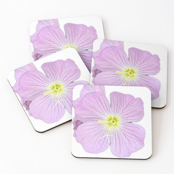 Item preview, Delicate Pink Evening Primrose Isolated on White Background designed and sold by BalkanBloom.