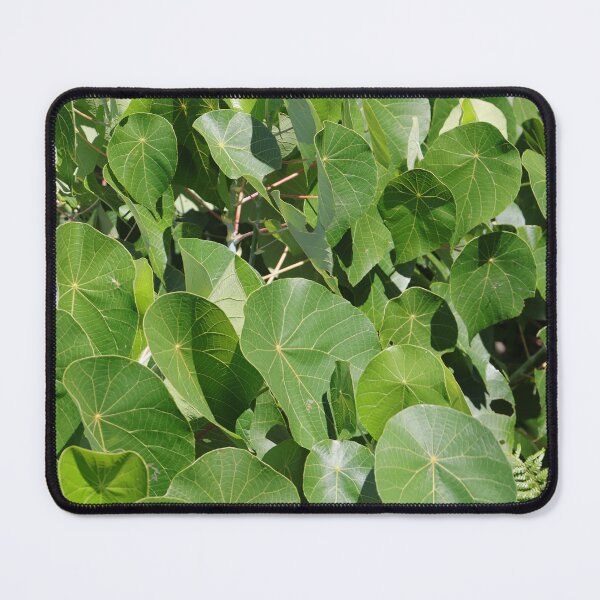 Item preview, Leaves designed and sold by Anthony's  images.