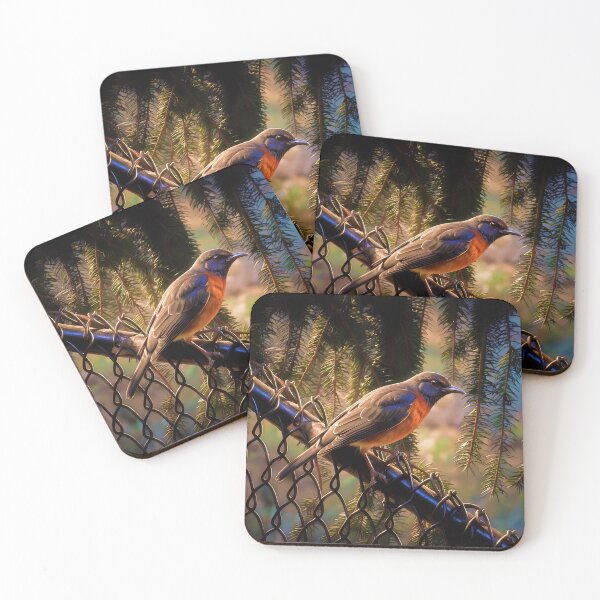 Item preview, Bird Stalking designed and sold by MoonGPhotos.