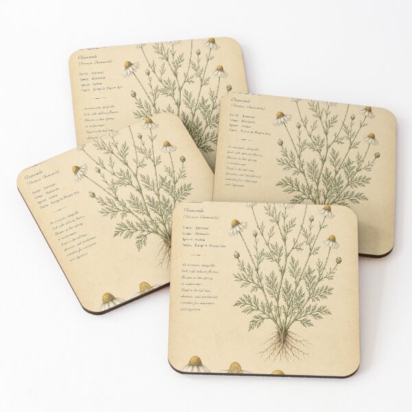 Item preview, Chamomile Herbarium Illustration designed and sold by Oraibi.
