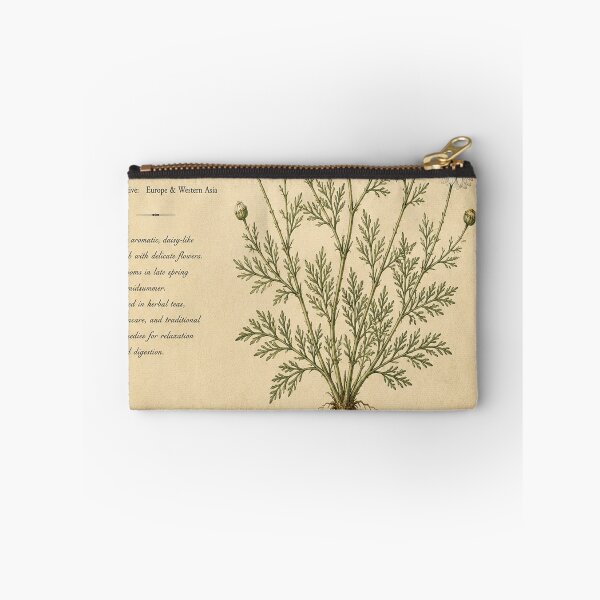 Item preview, Chamomile Herbarium Illustration designed and sold by Oraibi.