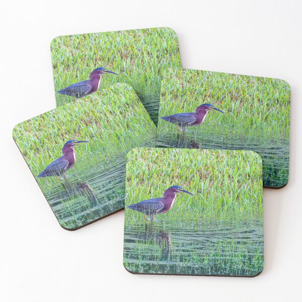Item preview, Green Heron Hunting in the Overfilled Canal designed and sold by Pondside-Pics.