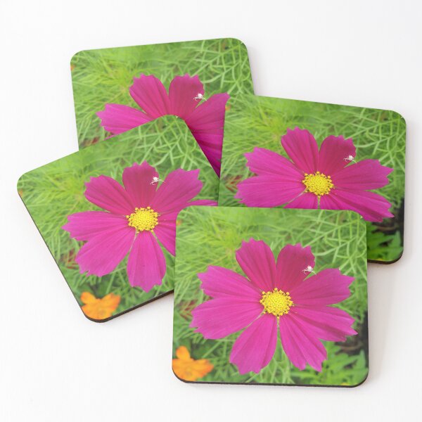 Item preview, flower (cosmos) designed and sold by Anthony's  images.