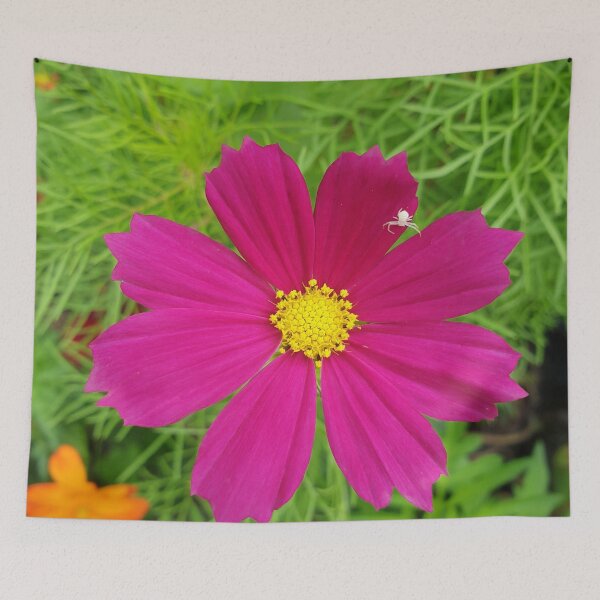 Item preview, flower (cosmos) designed and sold by Anthony's  images.