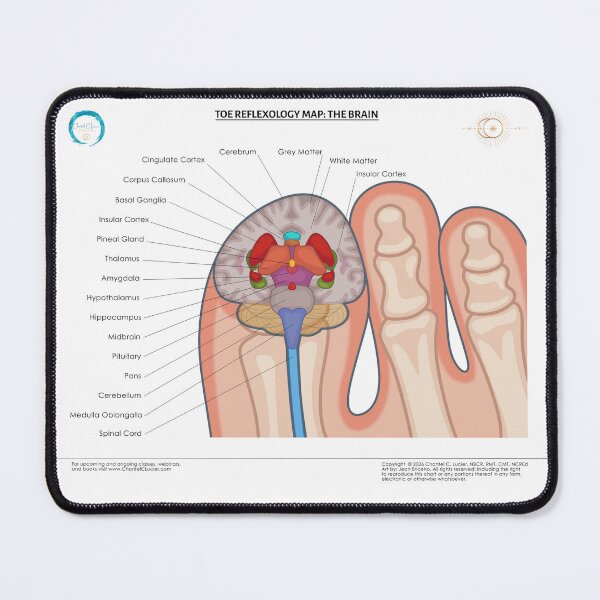 Item preview, Brain Reflexology Map designed and sold by ChantelCLucier.