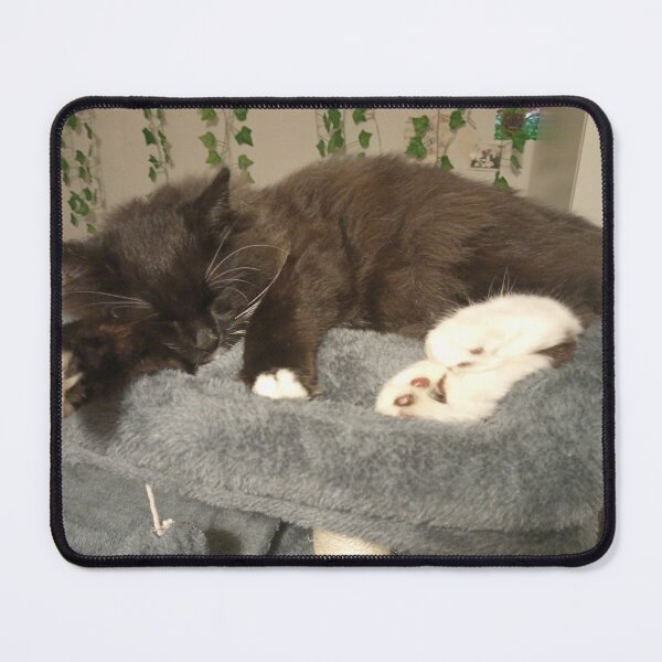 Artikelvorschau, Cozy Sleeping Cat Aesthetic entworfen und verkauft von PhuongVoArt.