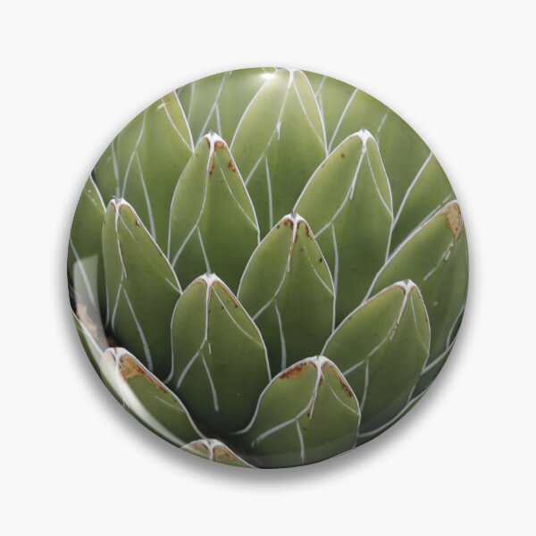 Item preview, Agave (Queen Victoria Agave)  designed and sold by Anthony's  images.