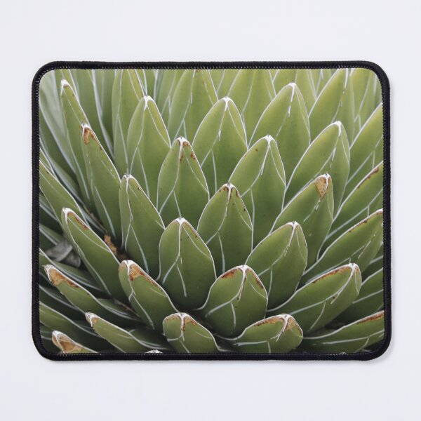 Item preview, Agave (Queen Victoria Agave)  designed and sold by Anthony's  images.