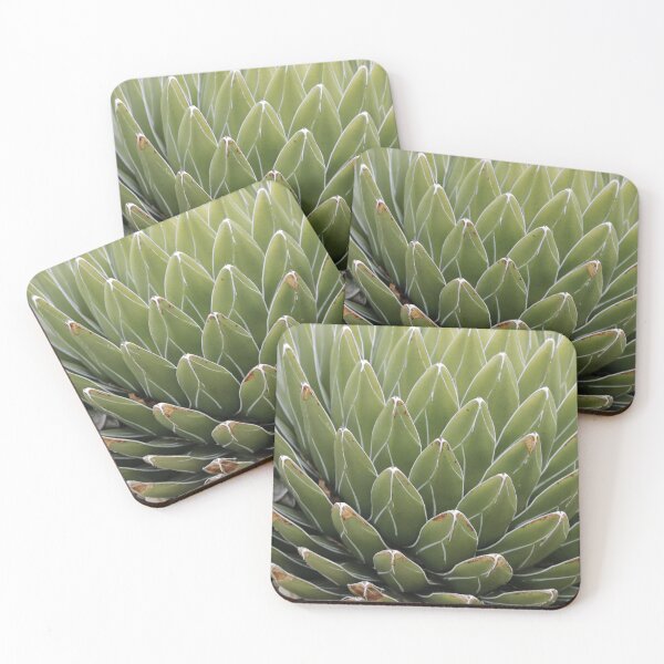 Item preview, Agave (Queen Victoria Agave)  designed and sold by Anthony's  images.