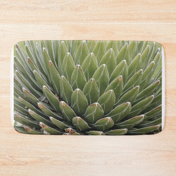 Item preview, Agave (Queen Victoria Agave)  designed and sold by Anthony's  images.