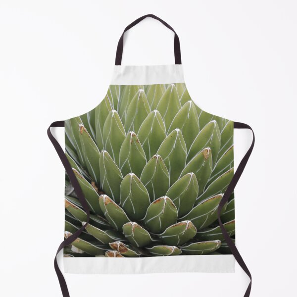 Artikelvorschau, Agave (Queen Victoria Agave) entworfen und verkauft von Anthony's images.