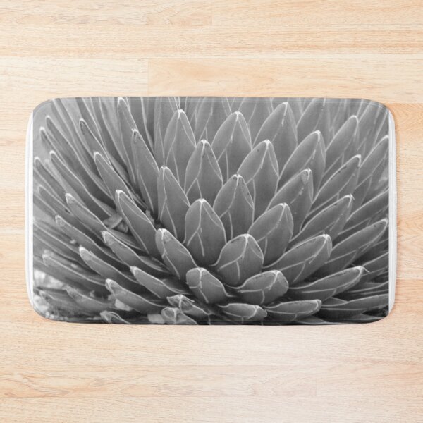 Item preview, Agave (Queen Victoria Agave) designed and sold by Anthony's  images.